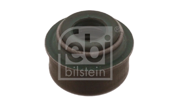 Seal Ring, valve stem
